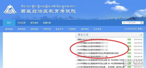 2023年西藏成人高考成績查詢簡化指南 - 腿腿教學(xué)網(wǎng)