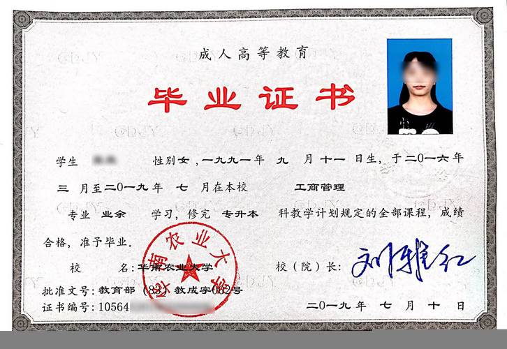 成人高考能否在校內(nèi)考取英語(yǔ)四級(jí)證書(shū)？ - 腿腿教學(xué)網(wǎng)
