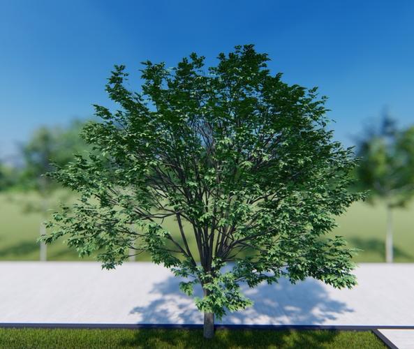 如何在Lumion中實現(xiàn)樹木放大 - BIM,Reivt中文網(wǎng)