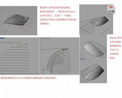 犀牛為什么不能成功沿曲面流動？ - BIM,Reivt中文網(wǎng)